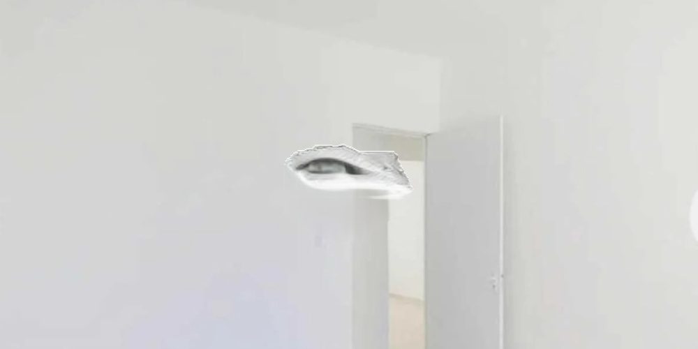 WhatsApp Image 2026-01-22 at 13.27.54