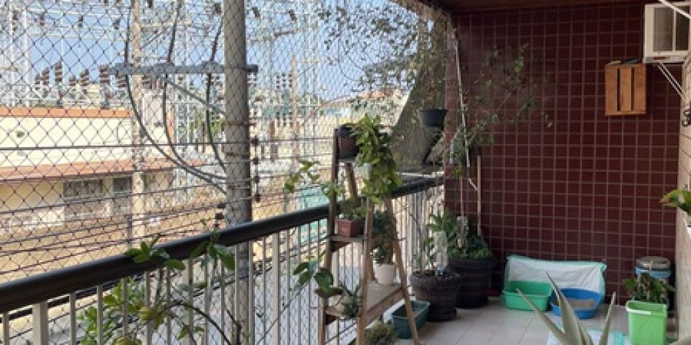 WhatsApp Image 2026-02-10 at 09.45.31