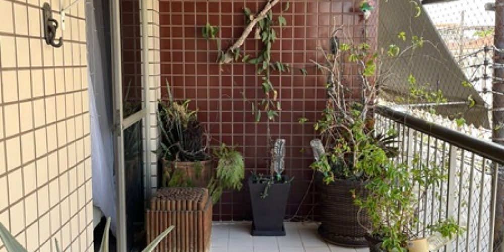 WhatsApp Image 2026-02-10 at 09.45.32