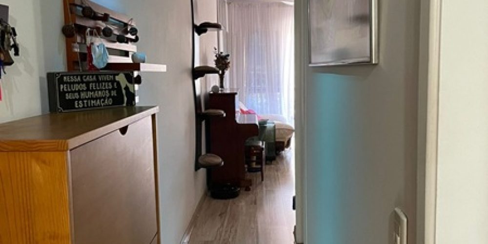 WhatsApp Image 2026-02-10 at 09.45.33 (1)