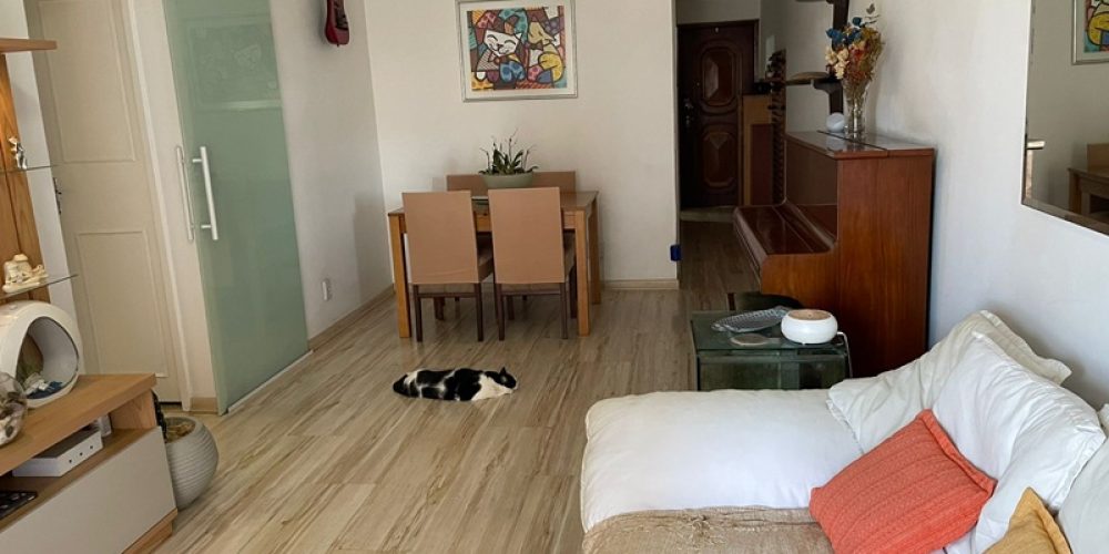 WhatsApp Image 2026-02-10 at 09.45.33