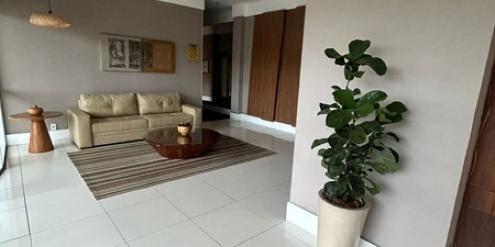 WhatsApp Image 2026-02-25 at 15.50.59